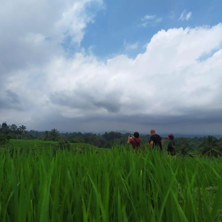 Tegal Jero Homestay Jatiluwih Zewnętrze zdjęcie
