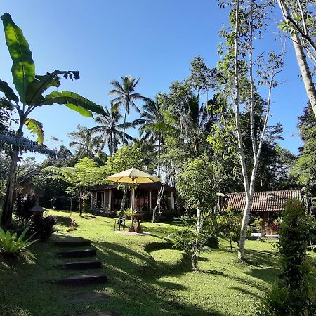 Tegal Jero Homestay Jatiluwih Zewnętrze zdjęcie