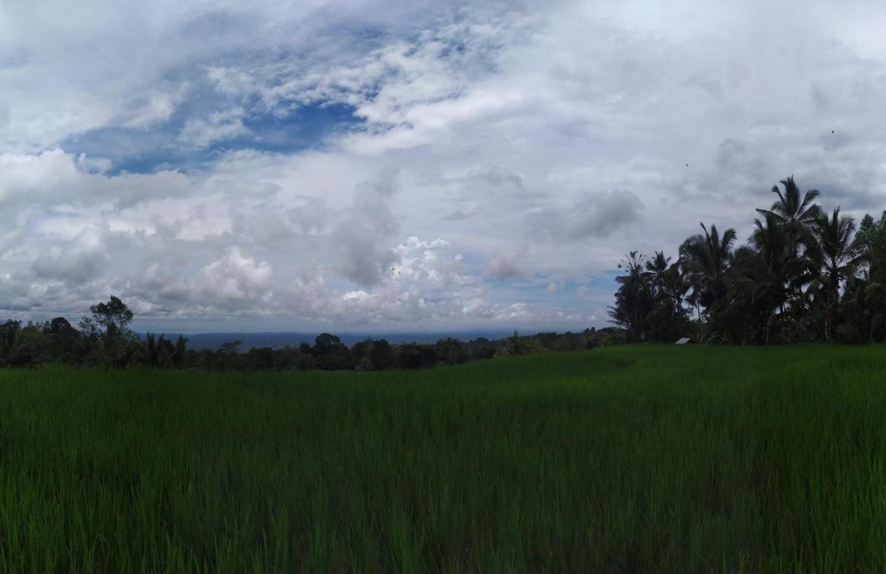 Tegal Jero Homestay Jatiluwih Zewnętrze zdjęcie