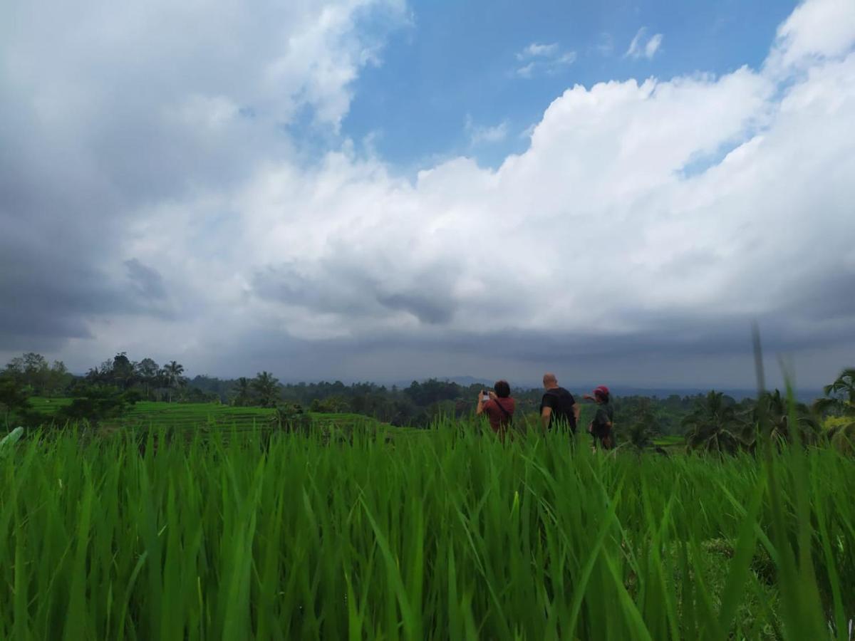 Tegal Jero Homestay Jatiluwih Zewnętrze zdjęcie