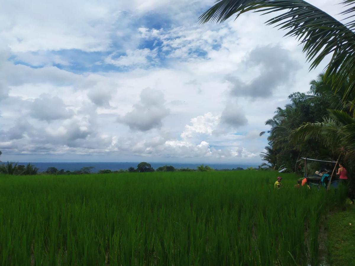 Tegal Jero Homestay Jatiluwih Zewnętrze zdjęcie