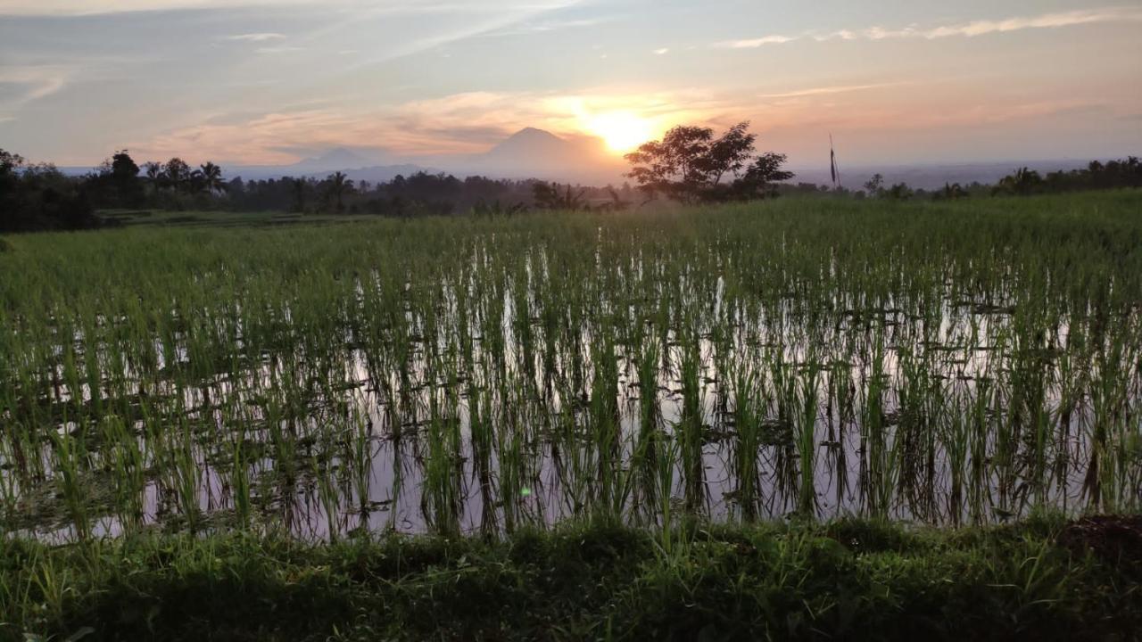 Tegal Jero Homestay Jatiluwih Zewnętrze zdjęcie