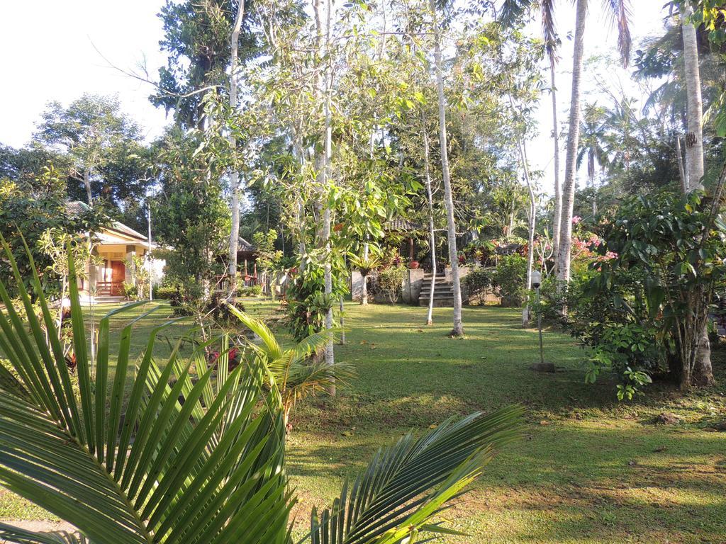 Tegal Jero Homestay Jatiluwih Zewnętrze zdjęcie