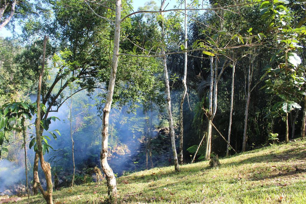Tegal Jero Homestay Jatiluwih Zewnętrze zdjęcie