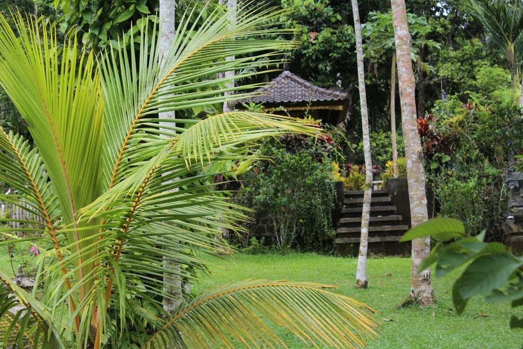 Tegal Jero Homestay Jatiluwih Zewnętrze zdjęcie