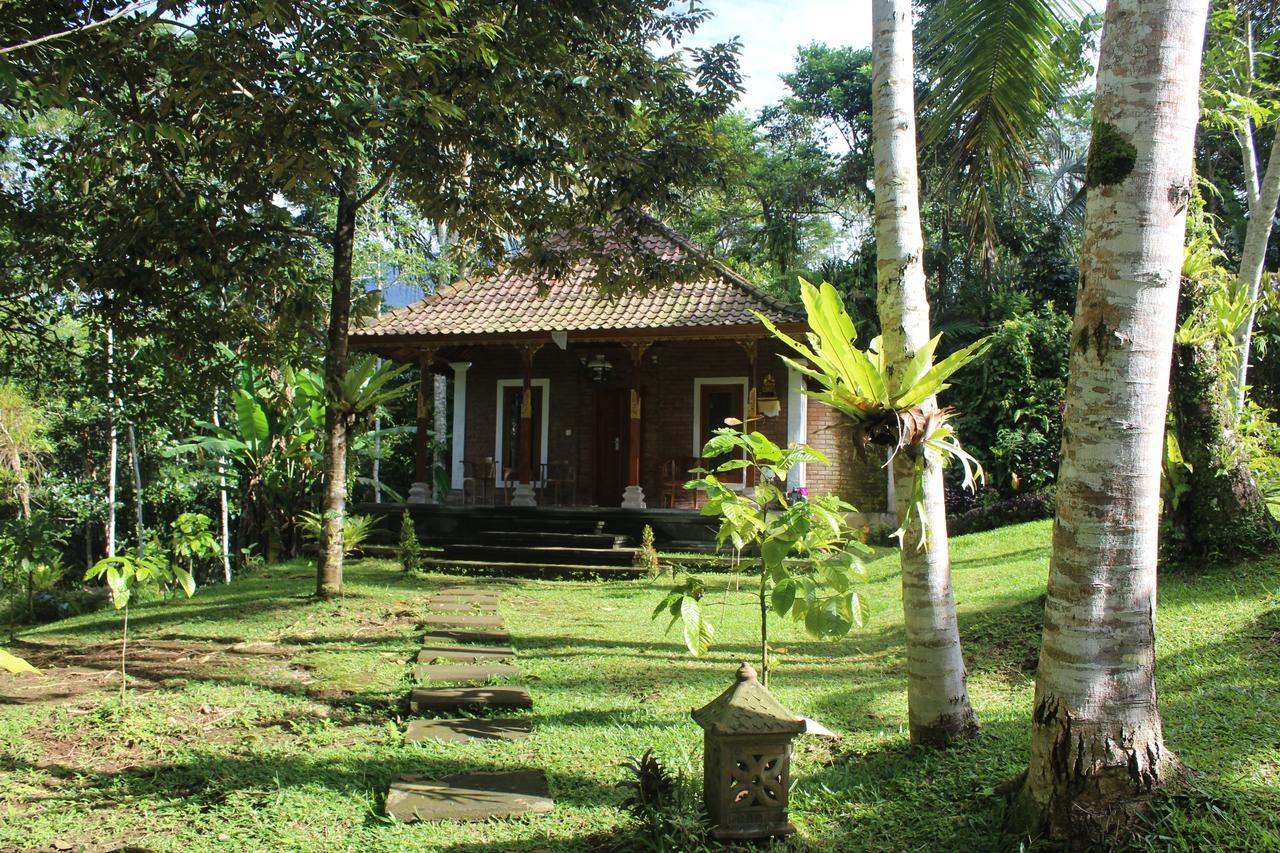 Tegal Jero Homestay Jatiluwih Zewnętrze zdjęcie