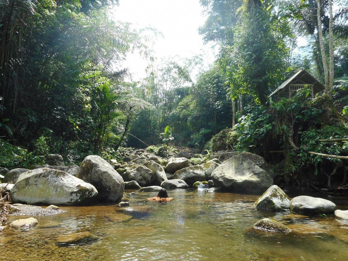 Tegal Jero Homestay Jatiluwih Zewnętrze zdjęcie