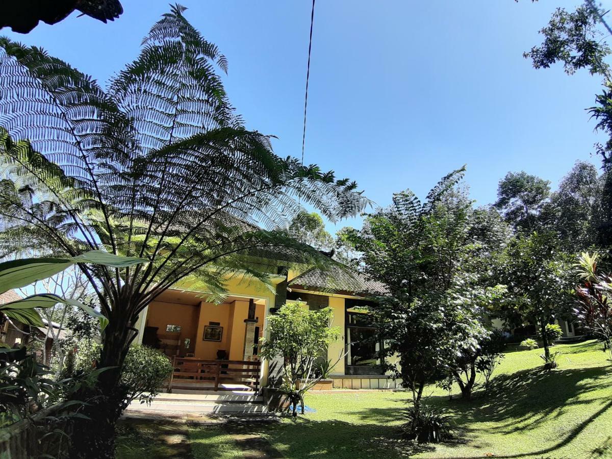 Tegal Jero Homestay Jatiluwih Zewnętrze zdjęcie