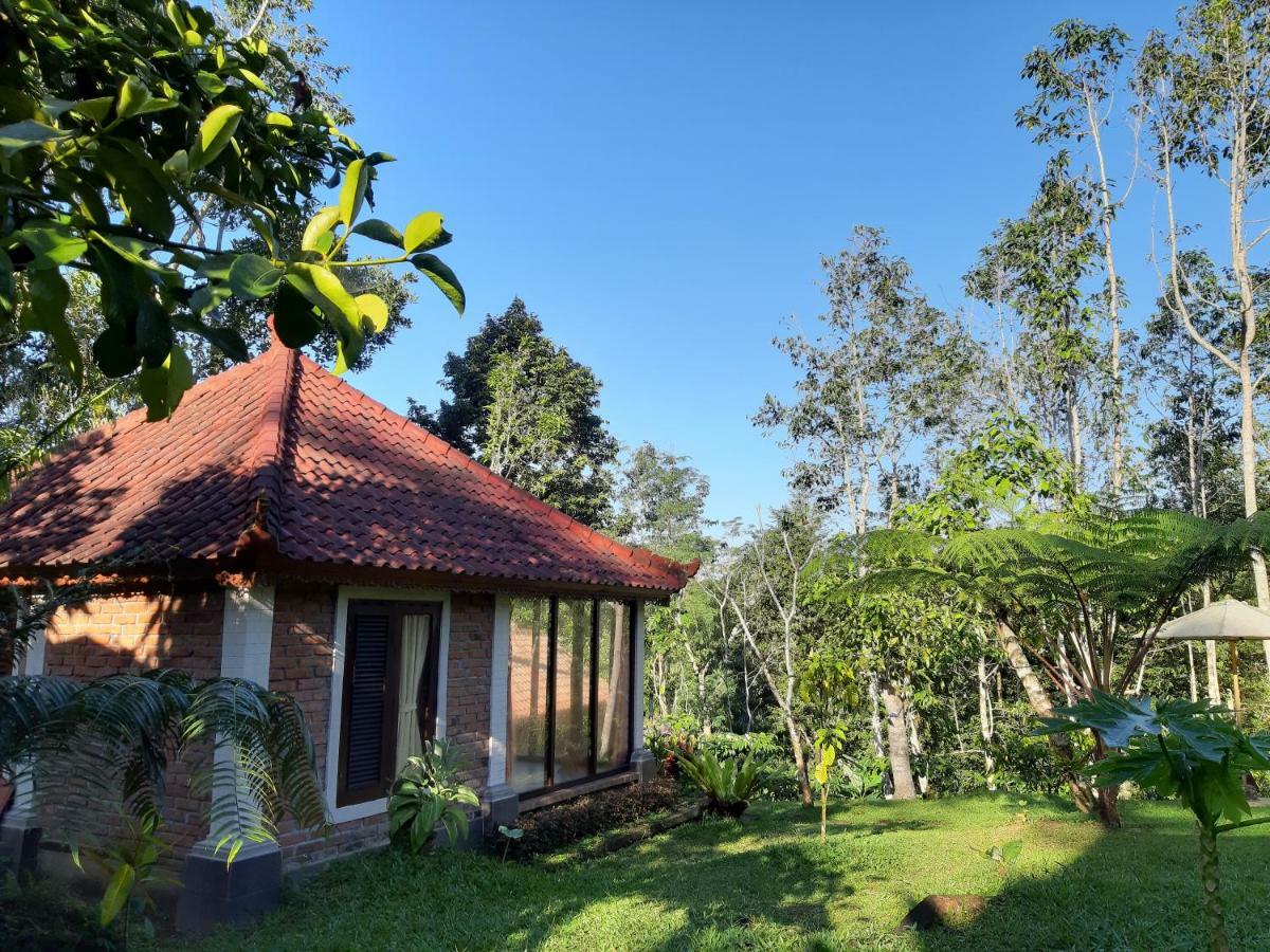 Tegal Jero Homestay Jatiluwih Zewnętrze zdjęcie