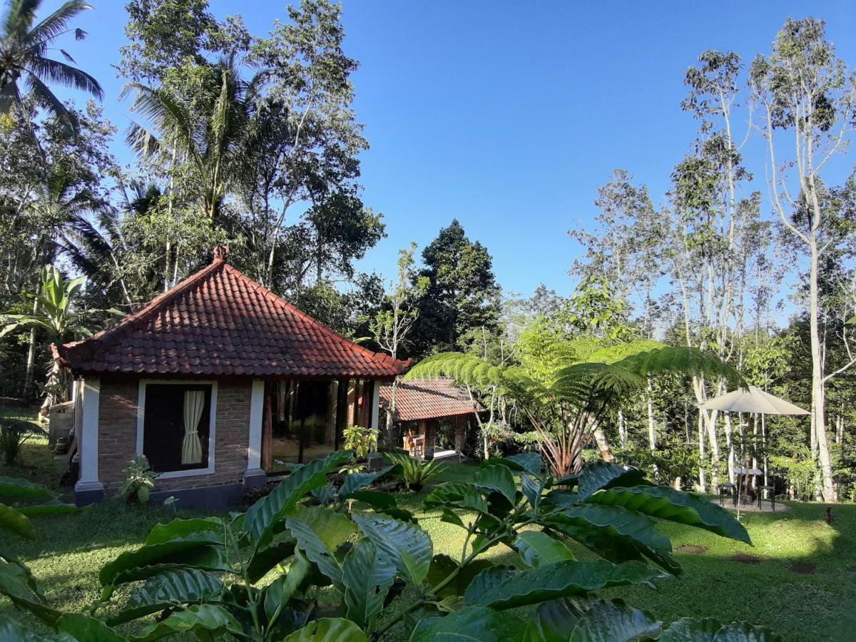 Tegal Jero Homestay Jatiluwih Zewnętrze zdjęcie